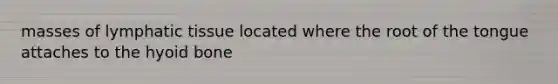masses of lymphatic tissue located where the root of the tongue attaches to the hyoid bone