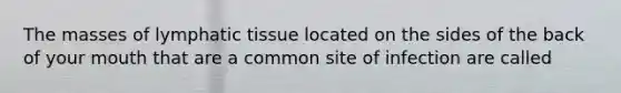The masses of lymphatic tissue located on the sides of the back of your mouth that are a common site of infection are called