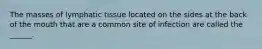 The masses of lymphatic tissue located on the sides at the back of the mouth that are a common site of infection are called the ______.