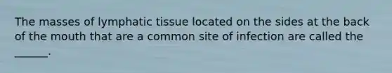 The masses of lymphatic tissue located on the sides at the back of the mouth that are a common site of infection are called the ______.