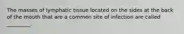 The masses of lymphatic tissue located on the sides at the back of the mouth that are a common site of infection are called _________.