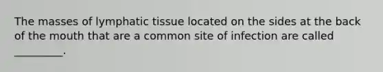 The masses of lymphatic tissue located on the sides at the back of the mouth that are a common site of infection are called _________.