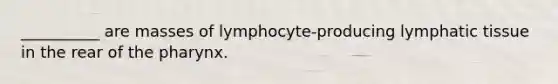 __________ are masses of lymphocyte-producing lymphatic tissue in the rear of the pharynx.