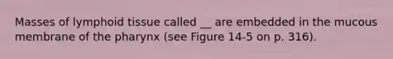 Masses of lymphoid tissue called __ are embedded in the mucous membrane of the pharynx (see Figure 14-5 on p. 316).
