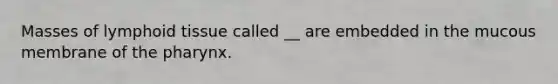 Masses of lymphoid tissue called __ are embedded in the mucous membrane of the pharynx.