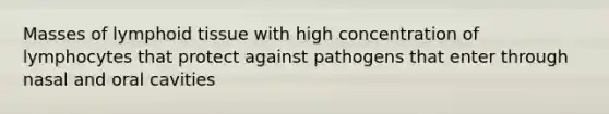 Masses of lymphoid tissue with high concentration of lymphocytes that protect against pathogens that enter through nasal and oral cavities