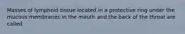 Masses of lymphoid tissue located in a protective ring under the mucous membranes in the mouth and the back of the throat are called