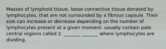 Masses of lymphoid tissue, loose <a href='https://www.questionai.com/knowledge/kYDr0DHyc8-connective-tissue' class='anchor-knowledge'>connective tissue</a> donated by lymphocytes, that are not surrounded by a fibrous capsule. Their size can increase or decrease depending on the number of lymphocytes present at a given moment. usually contain pale central regions called 2. _______ _______ where lymphocytes are dividing.