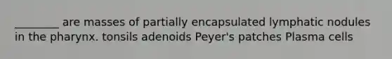 ________ are masses of partially encapsulated lymphatic nodules in the pharynx. tonsils adenoids Peyer's patches Plasma cells