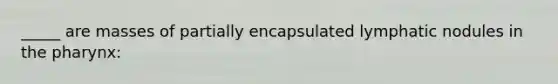 _____ are masses of partially encapsulated lymphatic nodules in <a href='https://www.questionai.com/knowledge/ktW97n6hGJ-the-pharynx' class='anchor-knowledge'>the pharynx</a>: