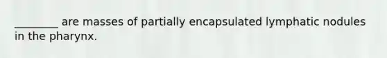 ________ are masses of partially encapsulated lymphatic nodules in the pharynx.