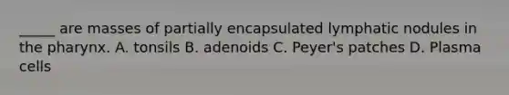 _____ are masses of partially encapsulated lymphatic nodules in <a href='https://www.questionai.com/knowledge/ktW97n6hGJ-the-pharynx' class='anchor-knowledge'>the pharynx</a>. A. tonsils B. adenoids C. Peyer's patches D. Plasma cells