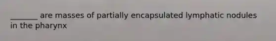 _______ are masses of partially encapsulated lymphatic nodules in <a href='https://www.questionai.com/knowledge/ktW97n6hGJ-the-pharynx' class='anchor-knowledge'>the pharynx</a>