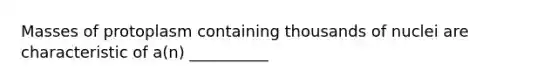 Masses of protoplasm containing thousands of nuclei are characteristic of a(n) __________