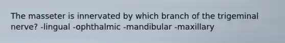 The masseter is innervated by which branch of the trigeminal nerve? -lingual -ophthalmic -mandibular -maxillary