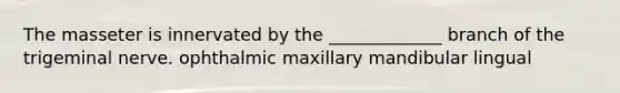 The masseter is innervated by the _____________ branch of the trigeminal nerve. ophthalmic maxillary mandibular lingual