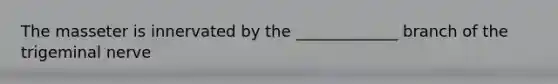 The masseter is innervated by the _____________ branch of the trigeminal nerve