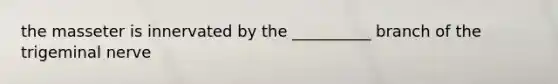 the masseter is innervated by the __________ branch of the trigeminal nerve