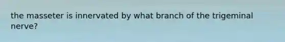 the masseter is innervated by what branch of the trigeminal nerve?