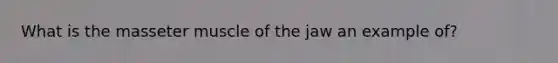 What is the masseter muscle of the jaw an example of?