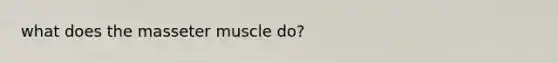 what does the masseter muscle do?