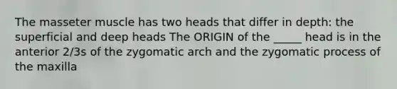 The masseter muscle has two heads that differ in depth: the superficial and deep heads The ORIGIN of the _____ head is in the anterior 2/3s of the zygomatic arch and the zygomatic process of the maxilla