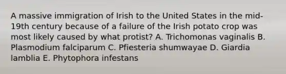 A massive immigration of Irish to the United States in the mid-19th century because of a failure of the Irish potato crop was most likely caused by what protist? A. Trichomonas vaginalis B. Plasmodium falciparum C. Pfiesteria shumwayae D. Giardia lamblia E. Phytophora infestans