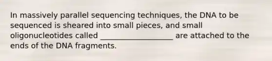 In massively parallel sequencing techniques, the DNA to be sequenced is sheared into small pieces, and small oligonucleotides called ___________________ are attached to the ends of the DNA fragments.