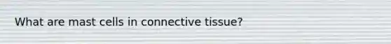 What are mast cells in connective tissue?