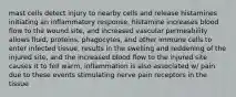 mast cells detect injury to nearby cells and release histamines initiating an inflammatory response, histamine increases blood flow to the wound site, and increased vascular permeability allows fluid, proteins, phagocytes, and other immune cells to enter infected tissue, results in the swelling and reddening of the injured site, and the increased blood flow to the injured site causes it to fell warm, inflammation is also associated w/ pain due to these events stimulating nerve pain receptors in the tissue