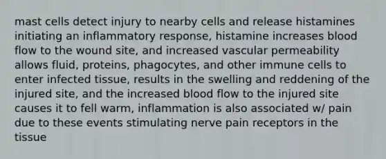 mast cells detect injury to nearby cells and release histamines initiating an inflammatory response, histamine increases blood flow to the wound site, and increased vascular permeability allows fluid, proteins, phagocytes, and other immune cells to enter infected tissue, results in the swelling and reddening of the injured site, and the increased blood flow to the injured site causes it to fell warm, inflammation is also associated w/ pain due to these events stimulating nerve pain receptors in the tissue