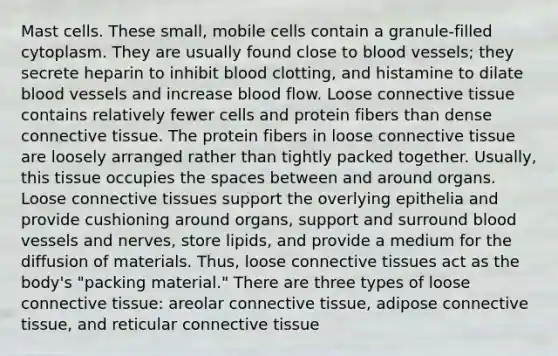 Mast cells. These small, mobile cells contain a granule-filled cytoplasm. They are usually found close to blood vessels; they secrete heparin to inhibit blood clotting, and histamine to dilate blood vessels and increase blood flow. Loose connective tissue contains relatively fewer cells and protein fibers than dense connective tissue. The protein fibers in loose connective tissue are loosely arranged rather than tightly packed together. Usually, this tissue occupies the spaces between and around organs. Loose connective tissues support the overlying epithelia and provide cushioning around organs, support and surround blood vessels and nerves, store lipids, and provide a medium for the diffusion of materials. Thus, loose connective tissues act as the body's "packing material." There are three types of loose connective tissue: areolar connective tissue, adipose connective tissue, and reticular connective tissue