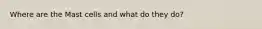 Where are the Mast cells and what do they do?