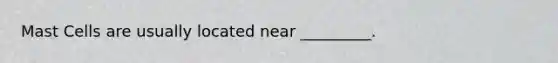 Mast Cells are usually located near _________.