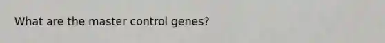 What are the master control genes?