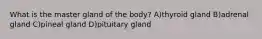 What is the master gland of the body? A)thyroid gland B)adrenal gland C)pineal gland D)pituitary gland