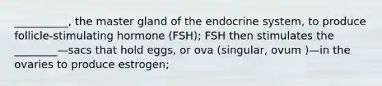 __________, the master gland of the endocrine system, to produce follicle-stimulating hormone (FSH); FSH then stimulates the ________—sacs that hold eggs, or ova (singular, ovum )—in the ovaries to produce estrogen;