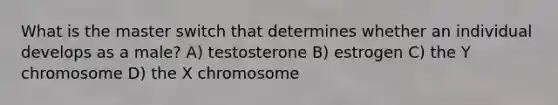 What is the master switch that determines whether an individual develops as a male? A) testosterone B) estrogen C) the Y chromosome D) the X chromosome