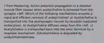 ? from Mastering: Action potential propagation in a skeletal muscle fiber ceases when acetylcholine is removed from the synaptic cleft. Which of the following mechanisms ensures a rapid and efficient removal of acetylcholine? a) Acetylcholine is transported into the postsynaptic neuron by receptor-mediated endocytosis. b) Acetylcholine diffuses away from the cleft. c) Acetylcholine is transported back into the axon terminal by a reuptake mechanism. d)Acetylcholine is degraded by acetylcholinesterase.