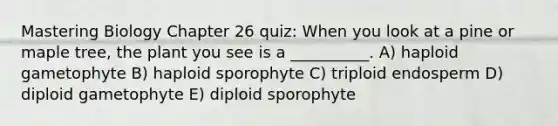 Mastering Biology Chapter 26 quiz: When you look at a pine or maple tree, the plant you see is a __________. A) haploid gametophyte B) haploid sporophyte C) triploid endosperm D) diploid gametophyte E) diploid sporophyte