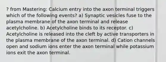 ? from Mastering: Calcium entry into the axon terminal triggers which of the following events? a) Synaptic vesicles fuse to the plasma membrane of the axon terminal and release acetylcholine. b) Acetylcholine binds to its receptor. c) Acetylcholine is released into the cleft by active transporters in the plasma membrane of the axon terminal. d) Cation channels open and sodium ions enter the axon terminal while potassium ions exit the axon terminal.