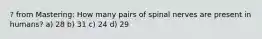 ? from Mastering: How many pairs of spinal nerves are present in humans? a) 28 b) 31 c) 24 d) 29