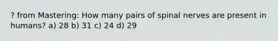 ? from Mastering: How many pairs of spinal nerves are present in humans? a) 28 b) 31 c) 24 d) 29