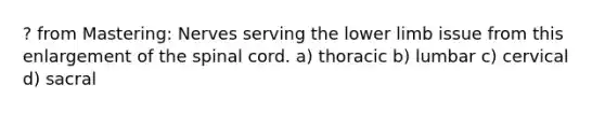 ? from Mastering: Nerves serving the lower limb issue from this enlargement of the spinal cord. a) thoracic b) lumbar c) cervical d) sacral