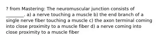 ? from Mastering: The neuromuscular junction consists of ________. a) a nerve touching a muscle b) the end branch of a single nerve fiber touching a muscle c) the axon terminal coming into close proximity to a muscle fiber d) a nerve coming into close proximity to a muscle fiber