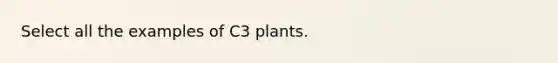 Select all the examples of C3 plants.