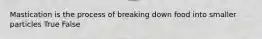 Mastication is the process of breaking down food into smaller particles True False