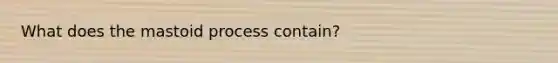 What does the mastoid process contain?