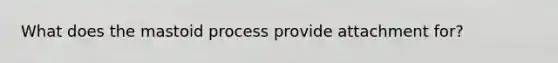 What does the mastoid process provide attachment for?