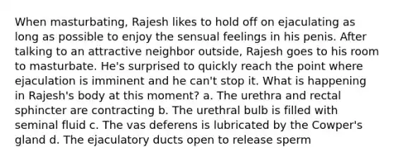 When masturbating, Rajesh likes to hold off on ejaculating as long as possible to enjoy the sensual feelings in his penis. After talking to an attractive neighbor outside, Rajesh goes to his room to masturbate. He's surprised to quickly reach the point where ejaculation is imminent and he can't stop it. What is happening in Rajesh's body at this moment? a. The urethra and rectal sphincter are contracting b. The urethral bulb is filled with seminal fluid c. The vas deferens is lubricated by the Cowper's gland d. The ejaculatory ducts open to release sperm